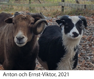 Anton och Ernst-Victor 2021.jpg
